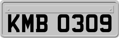 KMB0309