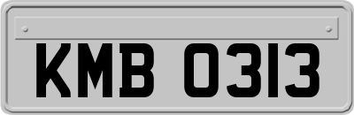 KMB0313