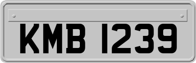 KMB1239