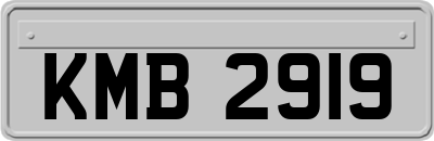 KMB2919