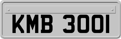 KMB3001