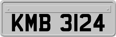 KMB3124