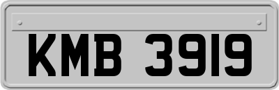 KMB3919