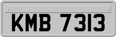KMB7313