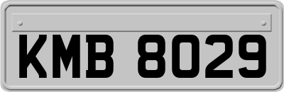 KMB8029
