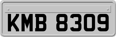 KMB8309