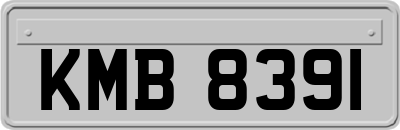 KMB8391