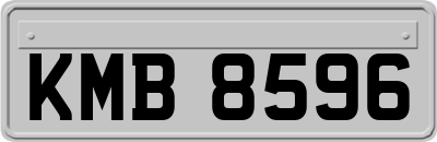 KMB8596