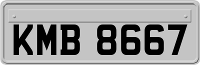 KMB8667
