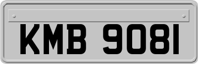 KMB9081