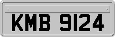KMB9124
