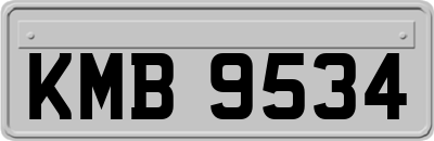 KMB9534
