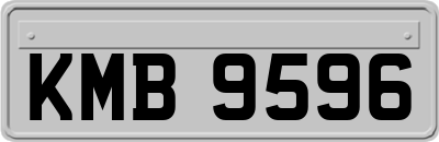 KMB9596