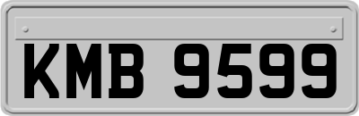 KMB9599
