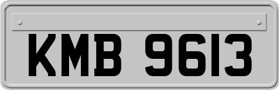 KMB9613