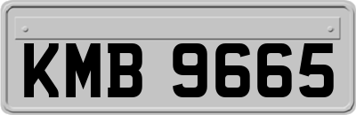 KMB9665