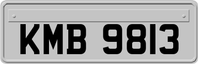 KMB9813