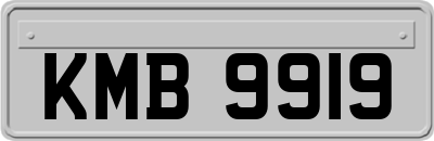 KMB9919