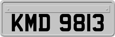 KMD9813
