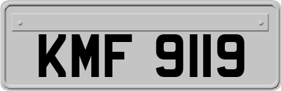 KMF9119