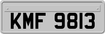 KMF9813