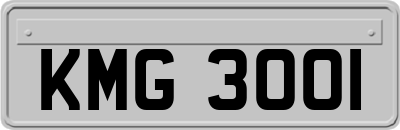 KMG3001