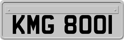 KMG8001