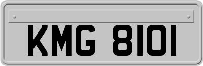 KMG8101