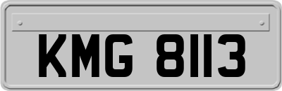 KMG8113