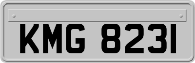 KMG8231