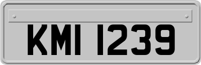 KMI1239