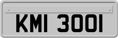 KMI3001