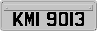 KMI9013