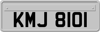 KMJ8101