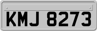 KMJ8273