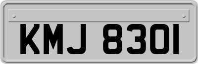 KMJ8301