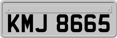 KMJ8665