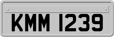 KMM1239