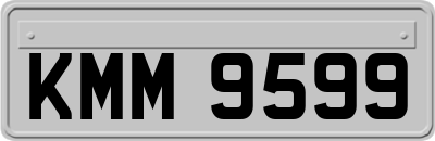 KMM9599