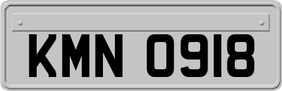 KMN0918