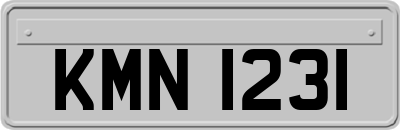 KMN1231