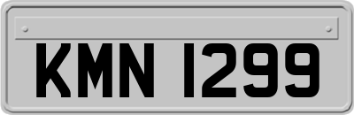 KMN1299