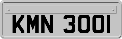 KMN3001