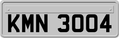 KMN3004