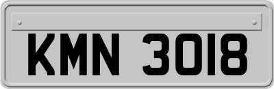 KMN3018