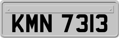 KMN7313