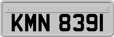 KMN8391