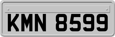 KMN8599