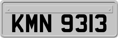 KMN9313