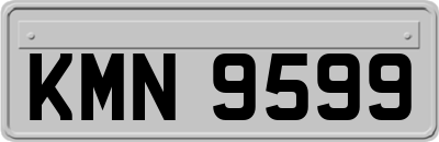 KMN9599